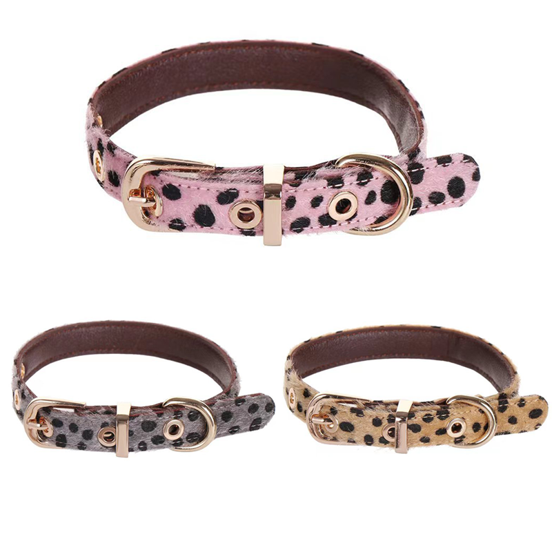 Leather Strap Quick Release - Collar para perro pequeño con estampado